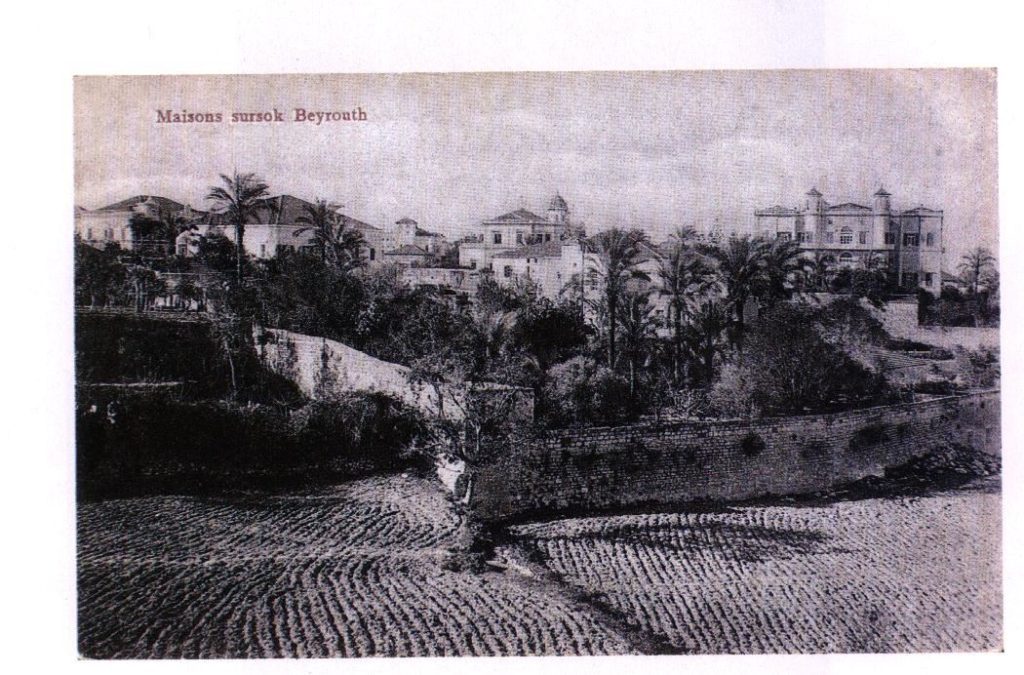 sursock
